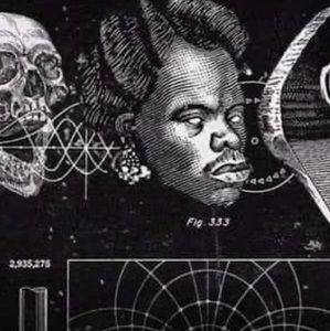 Meet your Posher, Wayne